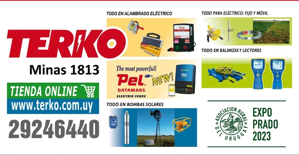 tienda online institucional copy