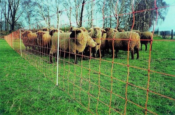 Red Malla Eléctrica Para Ovinos 50 Metros - Imagen 3