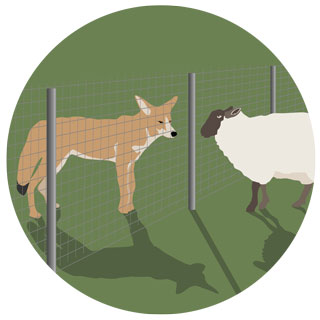 Malla para Predadores TERKO - Imagen 4